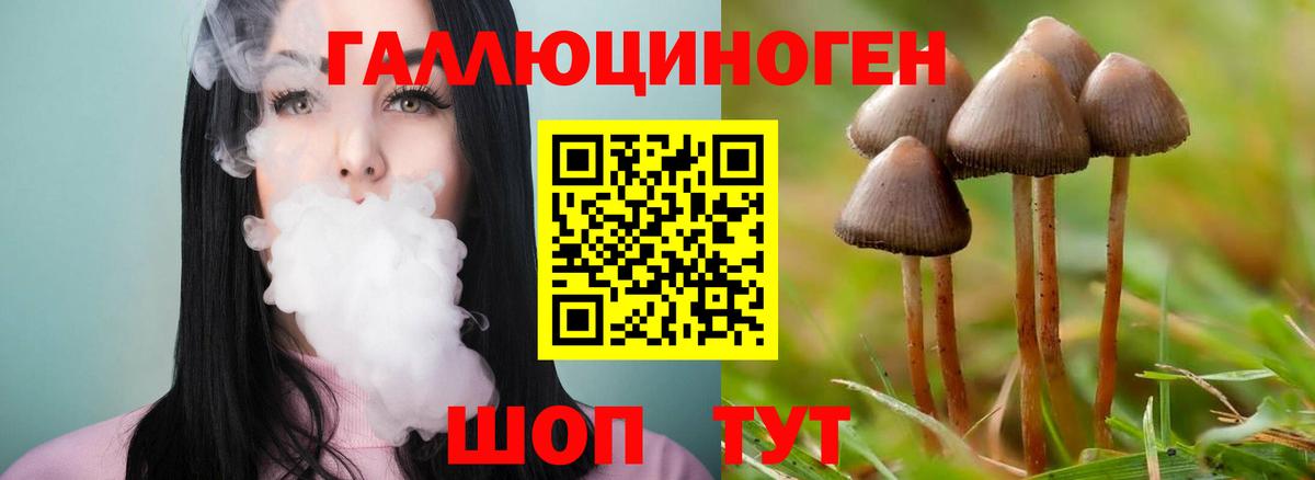 Галлюциногенные грибы Cubensis  Вход с VPN  Печора 